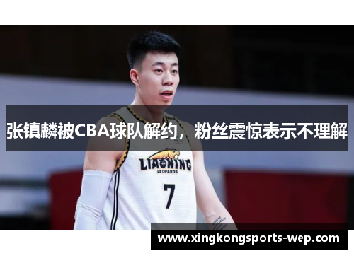 张镇麟被CBA球队解约，粉丝震惊表示不理解